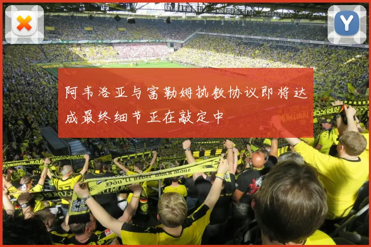 阿韦洛亚与富勒姆执教协议即将达成最终细节正在敲定中